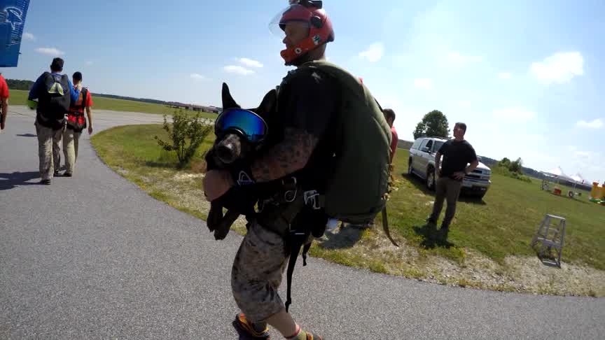 SKYDIVING-K9_176398