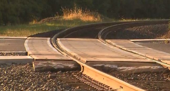 TrainTracks_156064