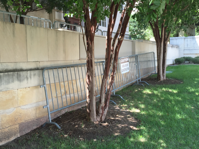 ut-confederate-wall_175977