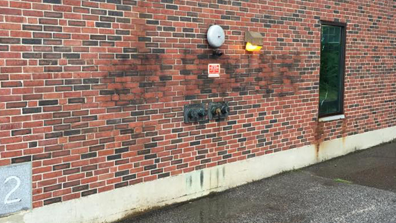 vandals_155893