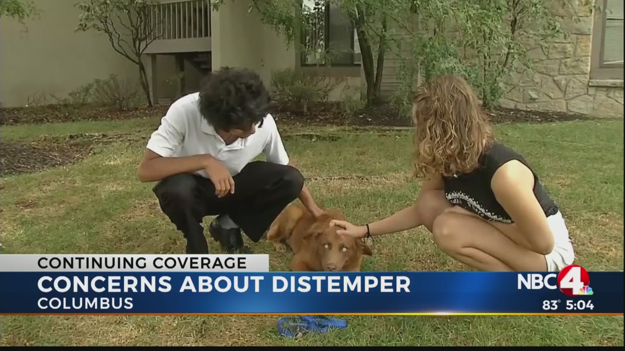 Dog owners concerned about distemper