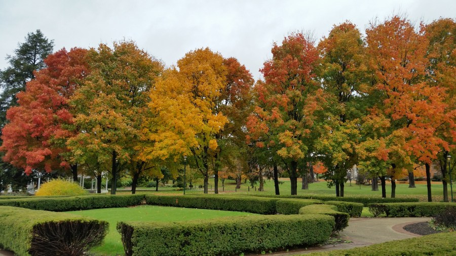 9-22-cover-leaf_186479