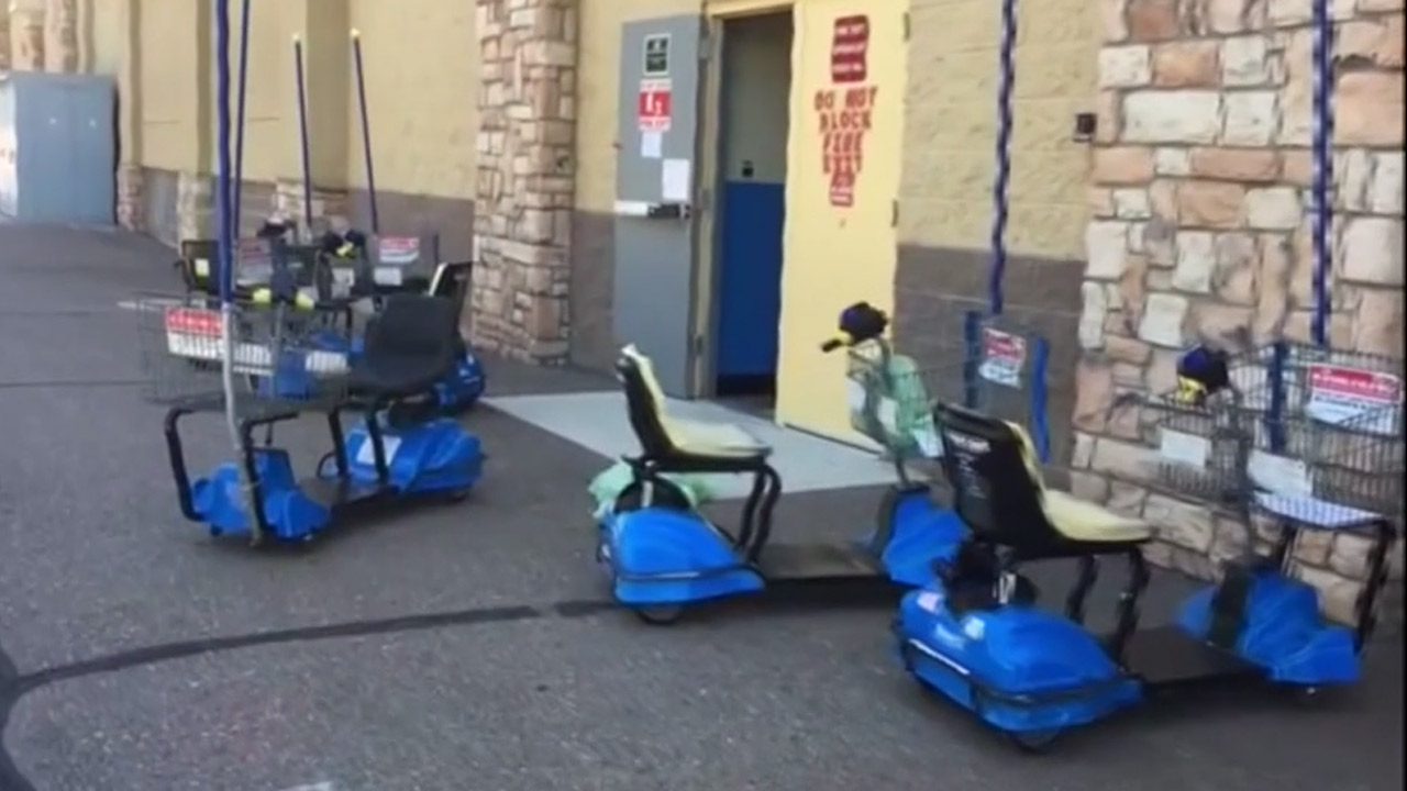 bed-bugs-electric-cart_182609