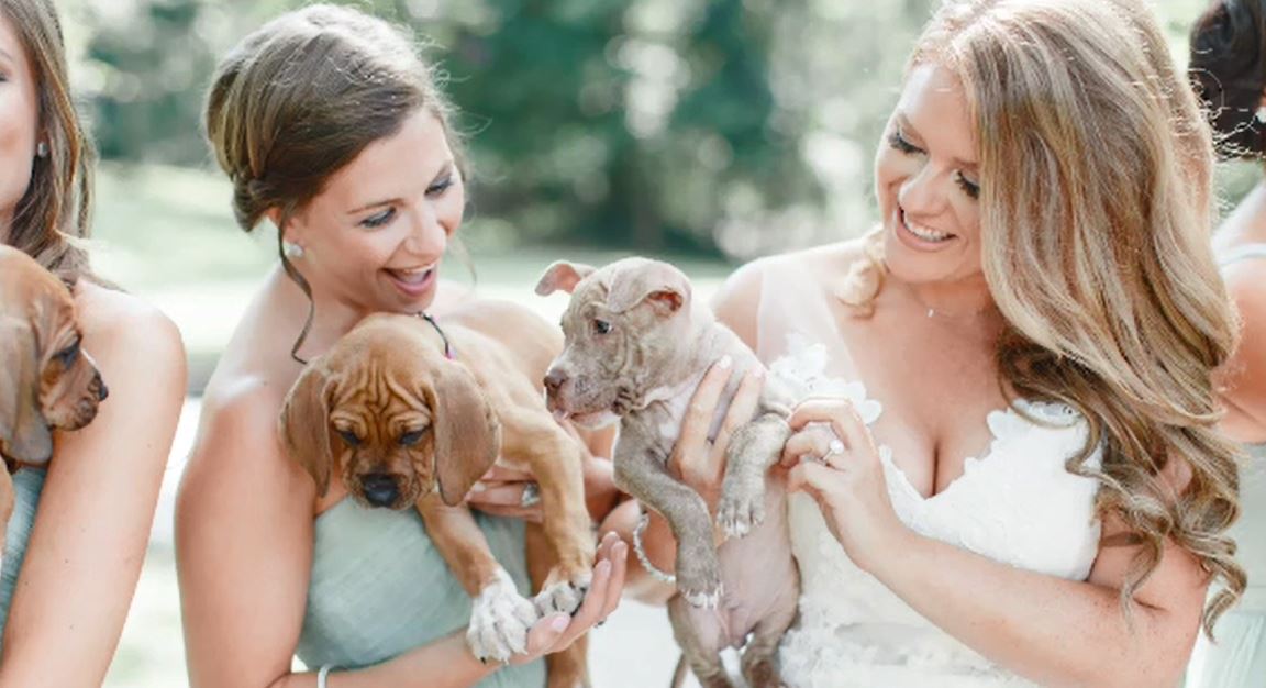 bridalparty_185703