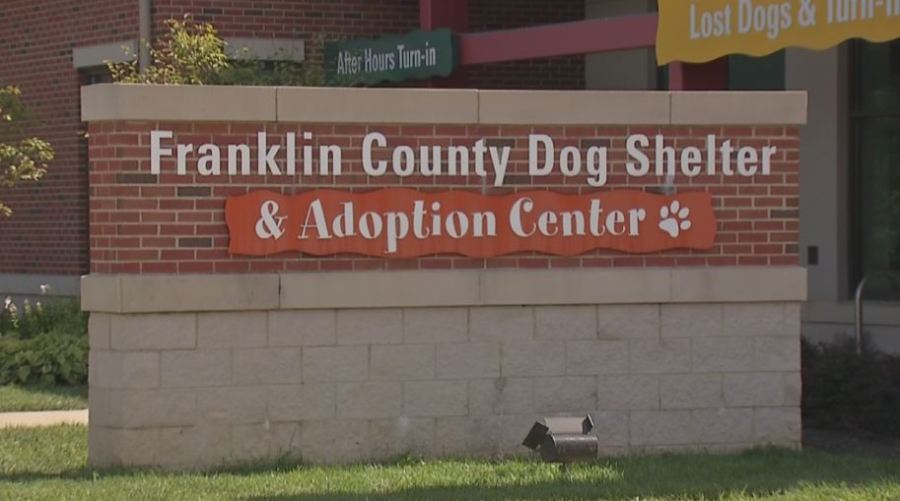 franklin-county-dog-shelter-generic_184589