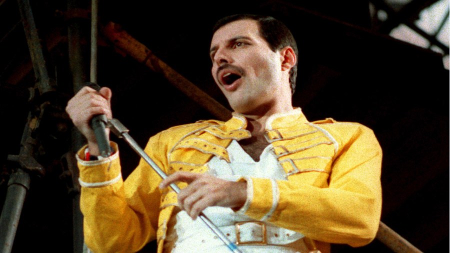 Freddie-Mercury-Aster_mrot_179347