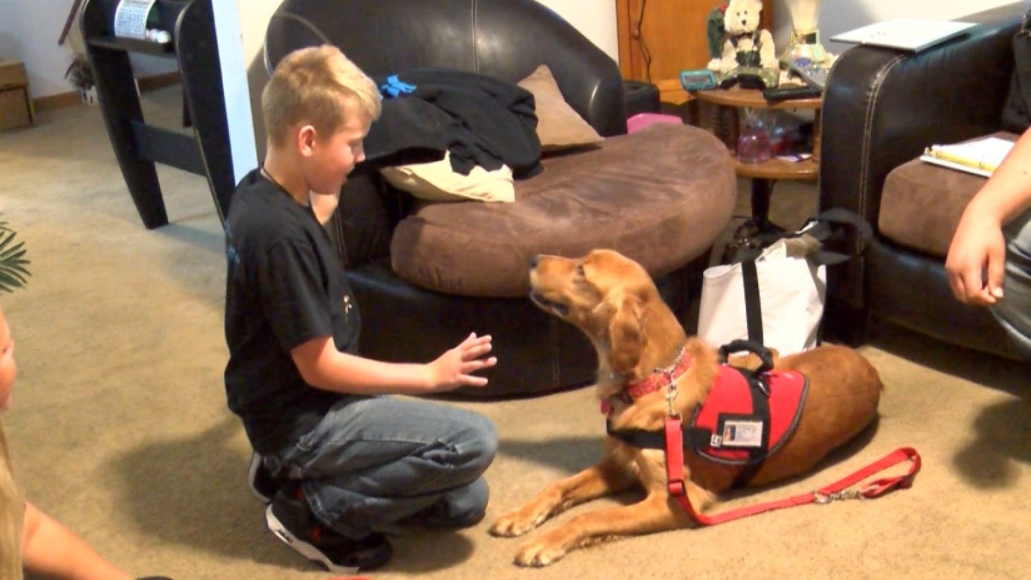 NC_servicedog0902_1500x845_1__179170