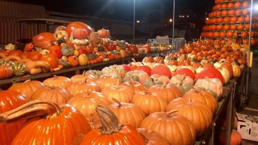 pumpkin_185067