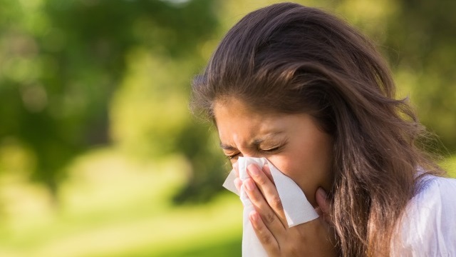 sneeze-sick-allergies_186666