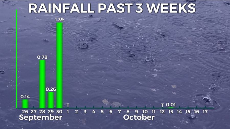 10-18-rain-3-weeks_196724