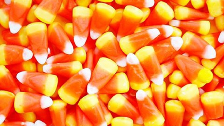 14463200_10154176866833124_1467531370984522054_n_191799