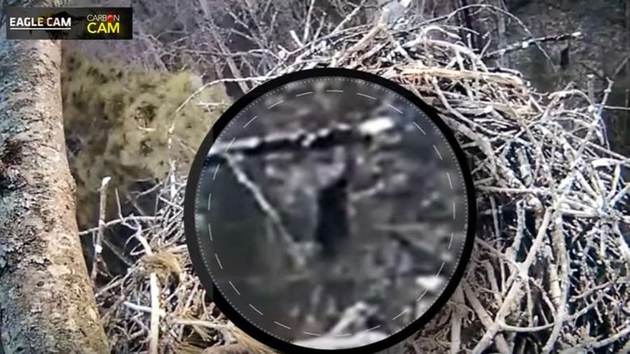 big-foot-camera_191754