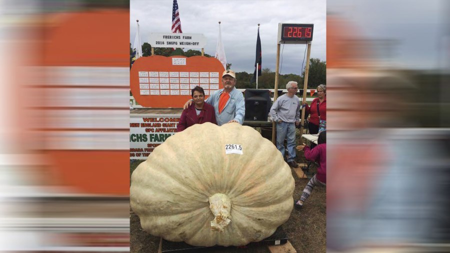 giant-pumpkin_193259