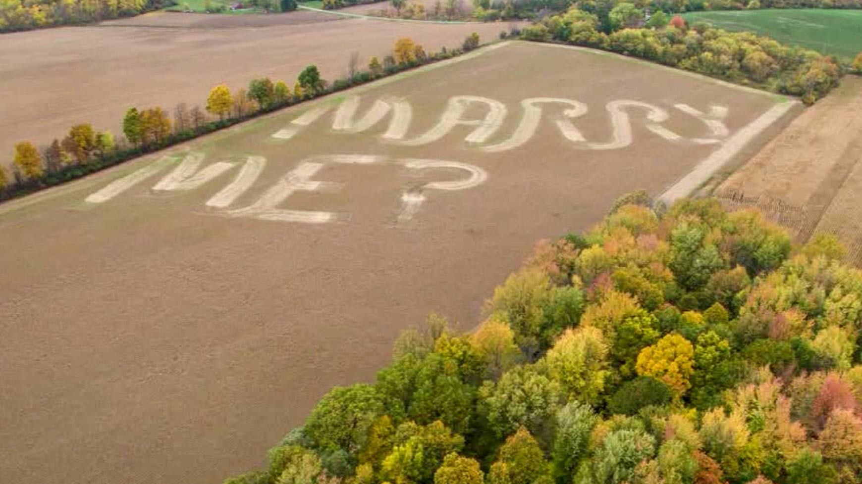 marry-me-field_197960