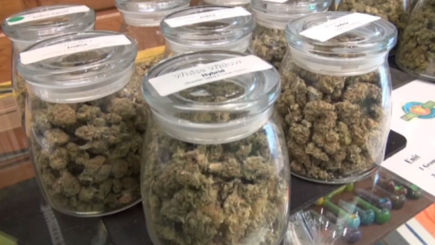 nc_kidcannabis1010_1500x845_193117