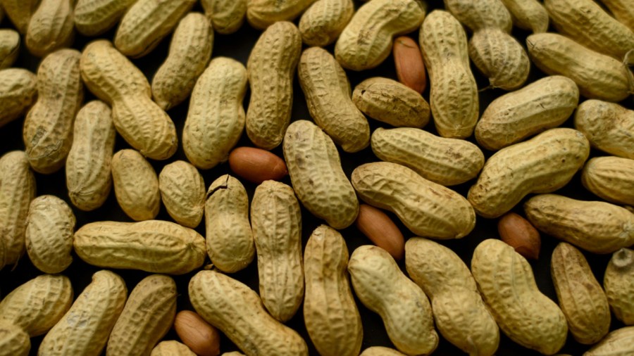peanuts_202066