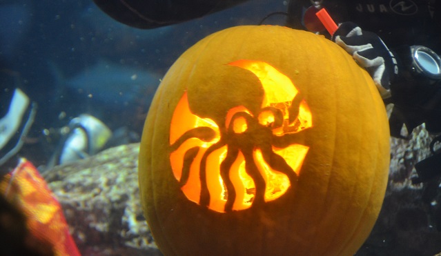 South Carolina Aquarium Underwater Pumpkin Carving Competition October 2016_198241