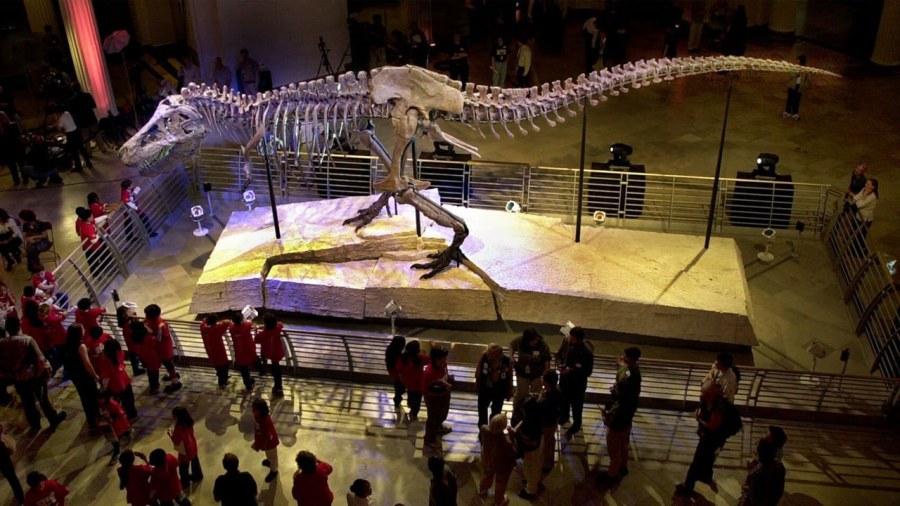 t-rex-arms_194805