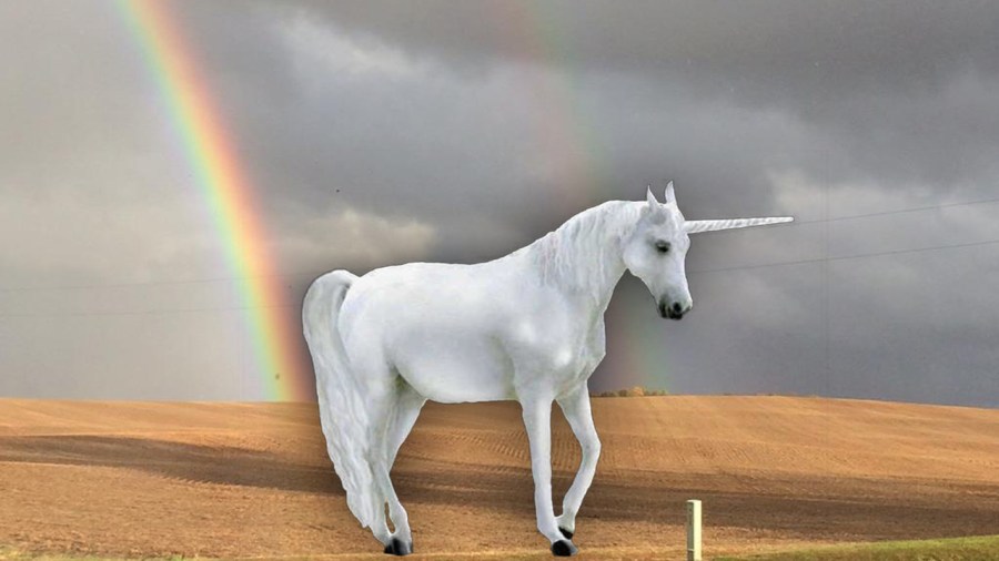 unicorn_194391