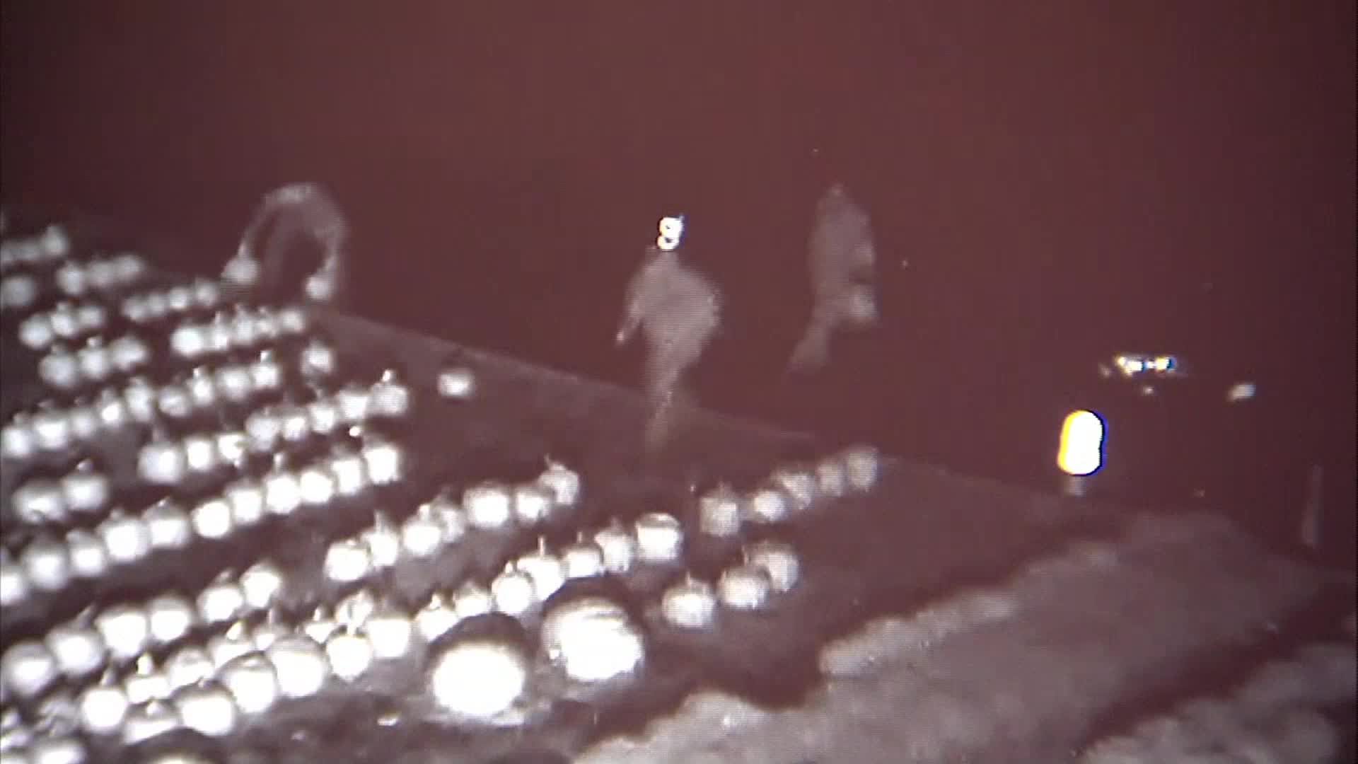 pumpkin thieves_200597