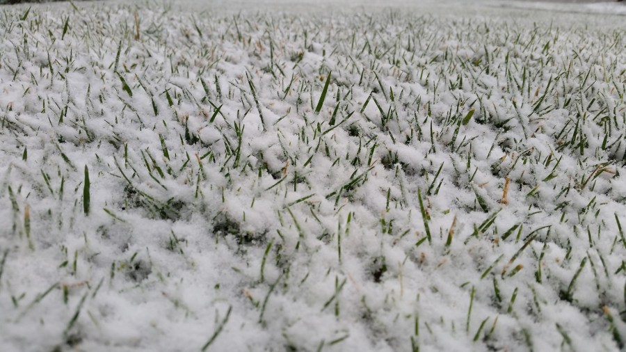 11-11-snow-cover_206598