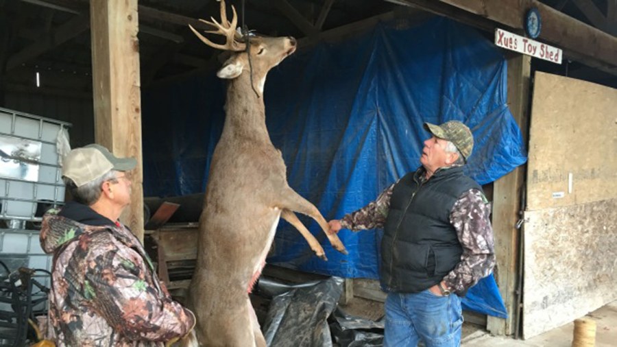8-point-doe_211330