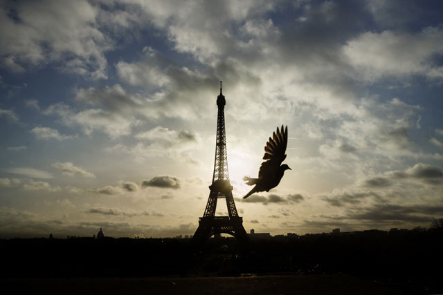 Paris terror attacks 1 year later_206481