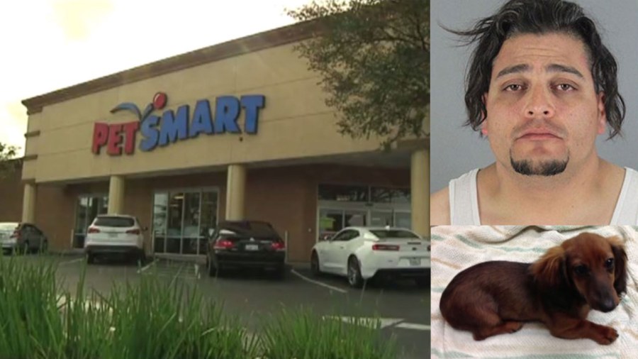 petsmart-killing_211337