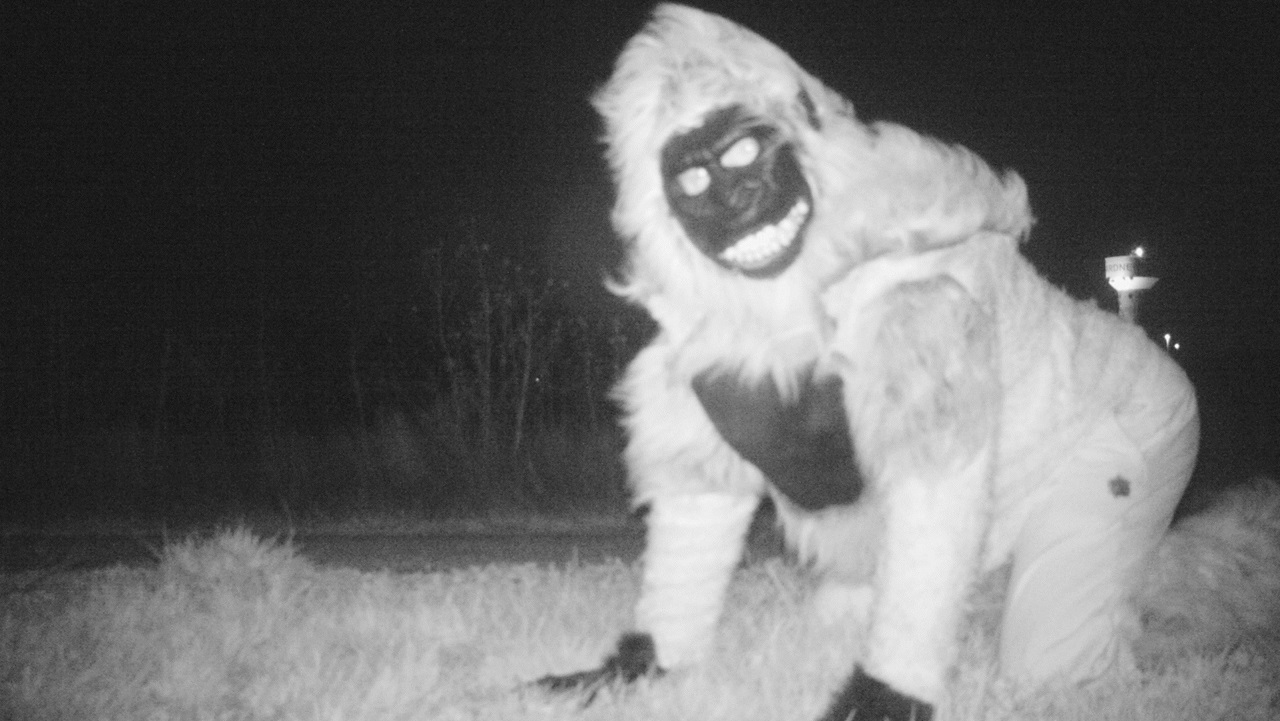 trail-camera-high-jin_long_213977