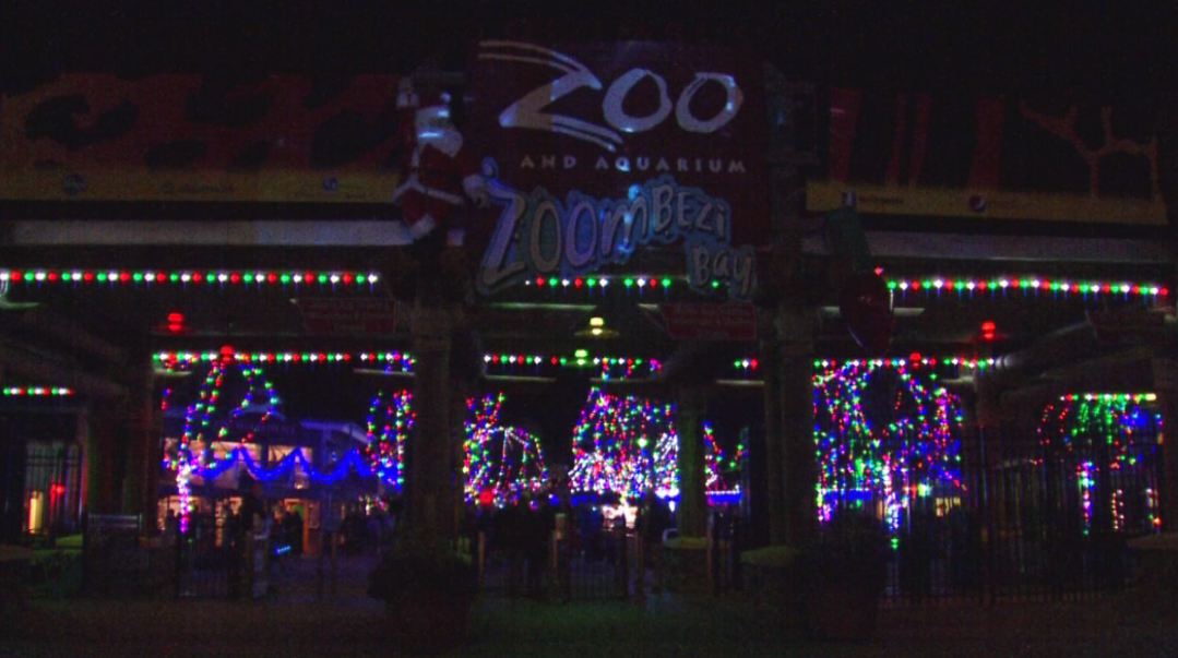 zoo-lights_209139