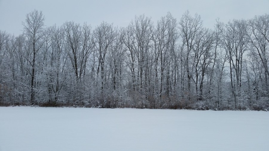12-5-winter_216714