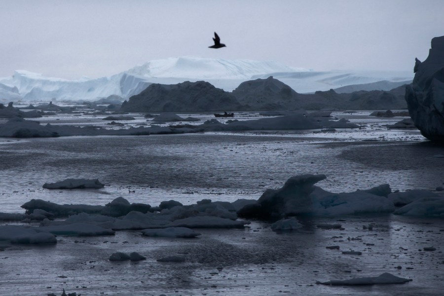 Arctic Report Card_220126