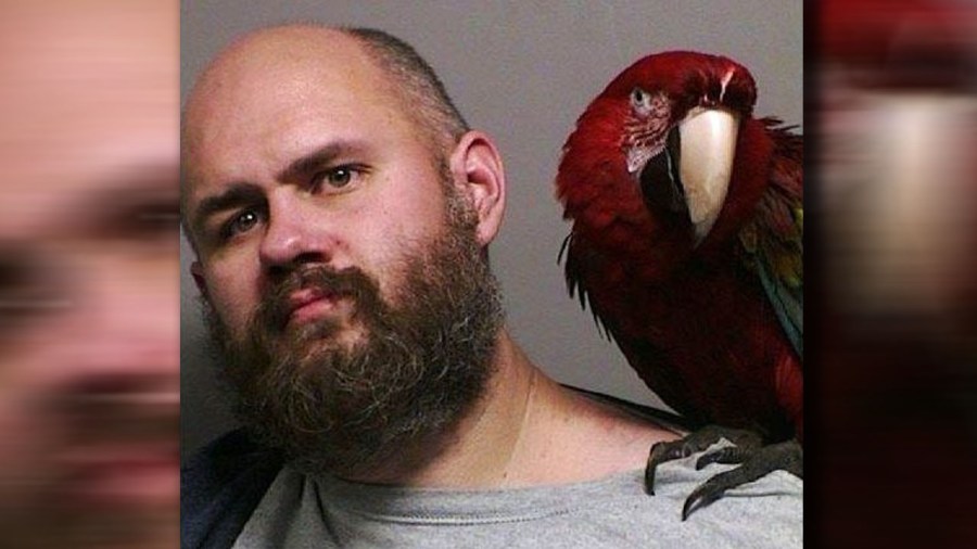 birdmugshot_215248