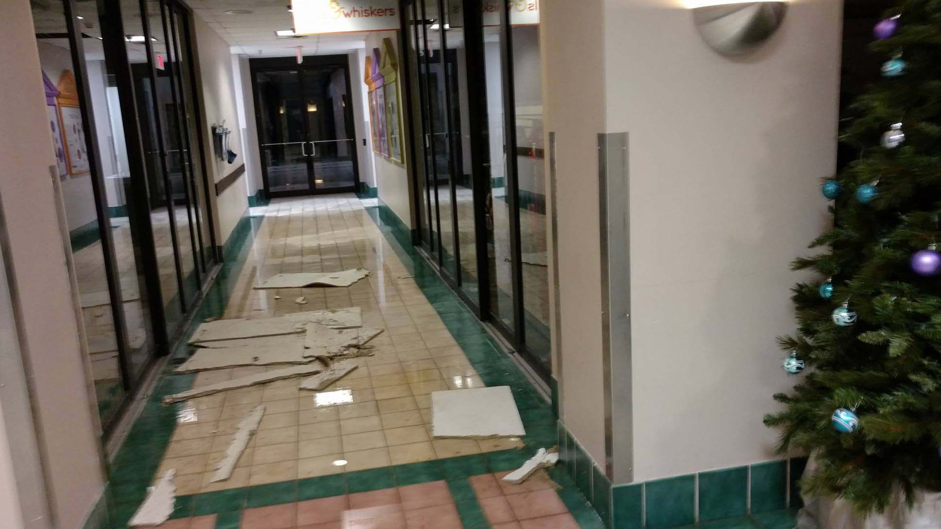 cahs-water-damage_221954