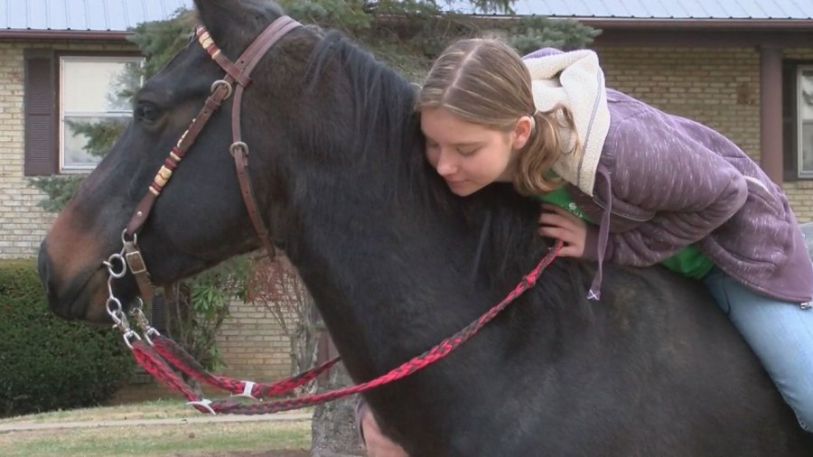 community-buys-dream-horse_223922