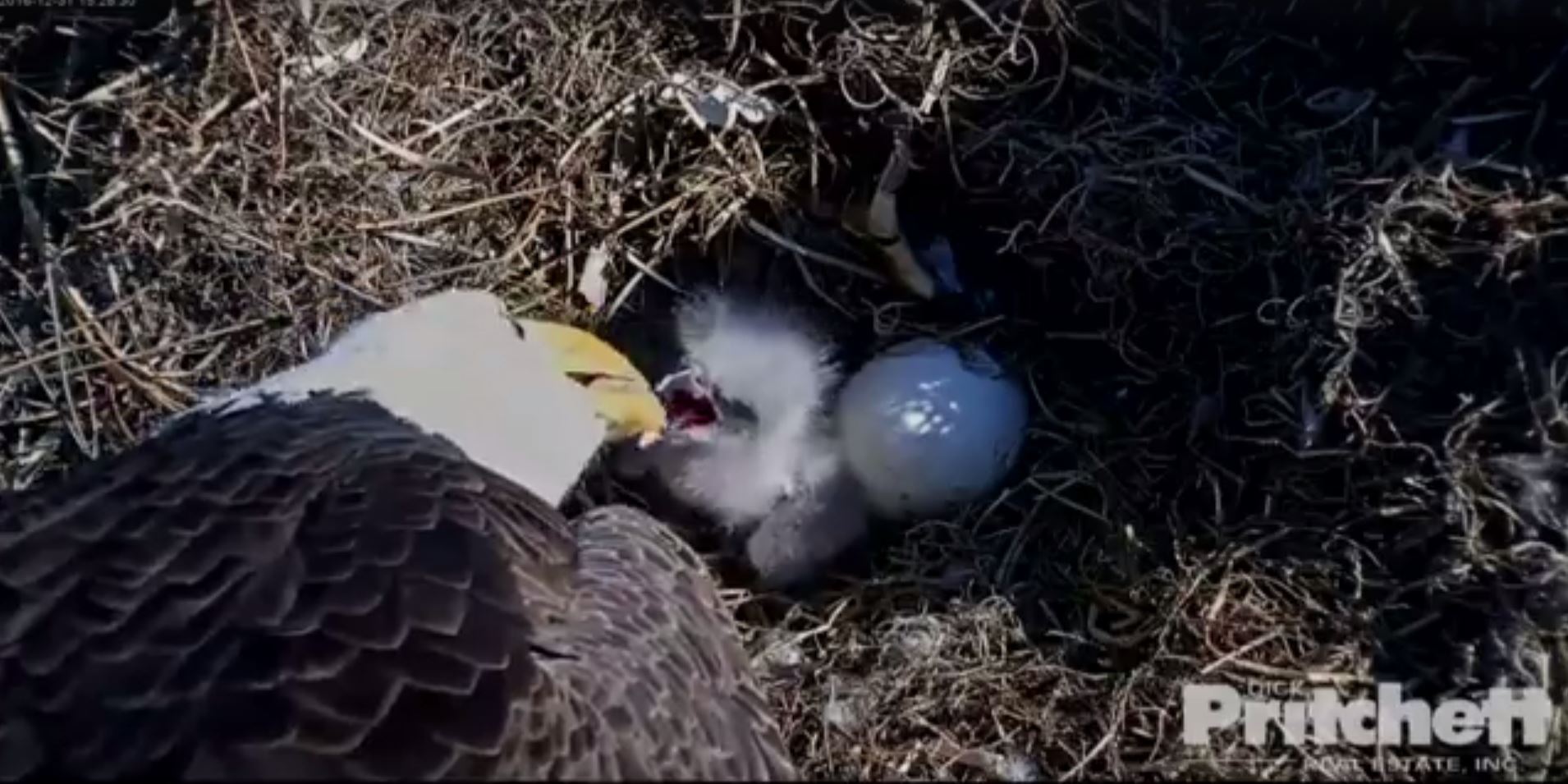 mom-feeding-baby-2_225716