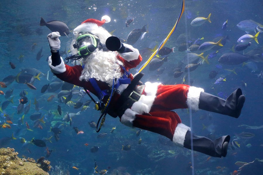 scuba-santa-for-web_221489