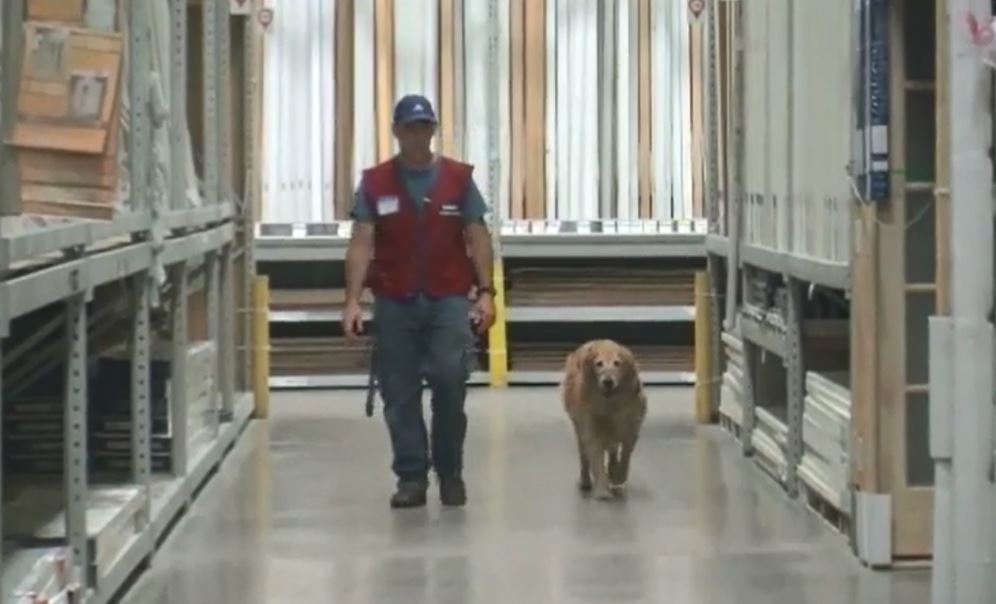 veteranlowes_216889