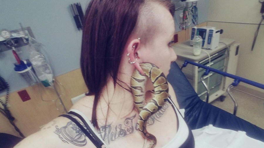 ashley-glawe_238969
