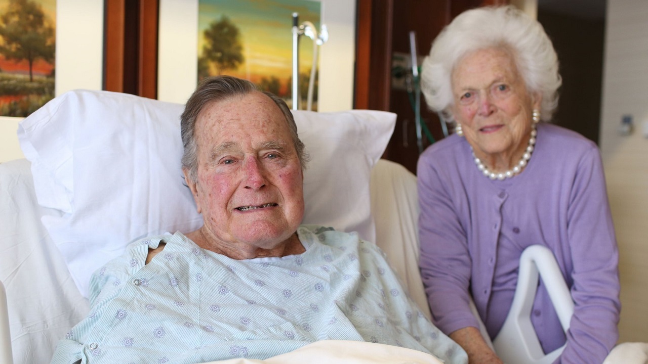 bush_235065
