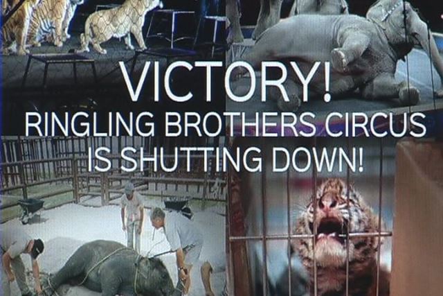 circus-closing_232274
