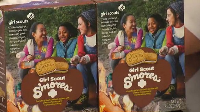 cookies_229563