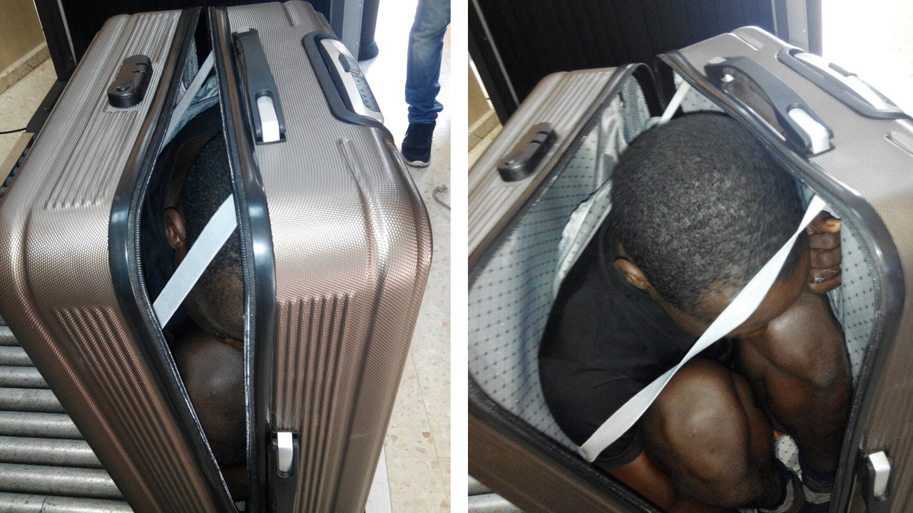 suitcaseweb_227034