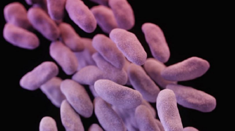 superbug_232374