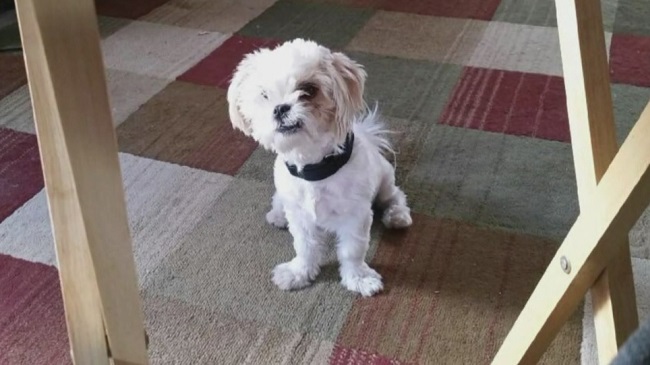 charliebrown_247677