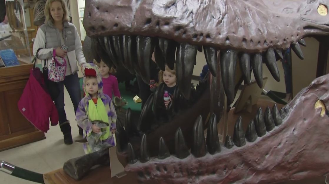 dinosaur_259764