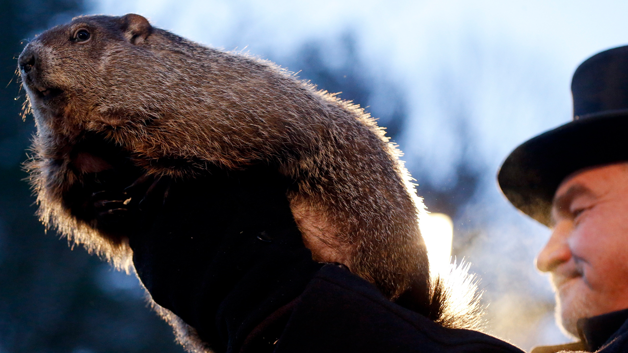 groundhogweb_239925