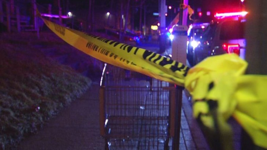 parsons-ave-shooting_254041
