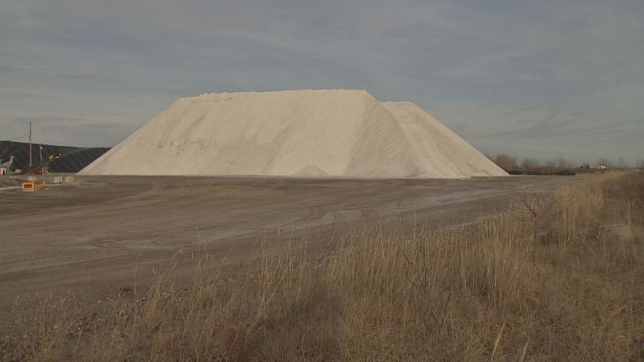 salt_254780