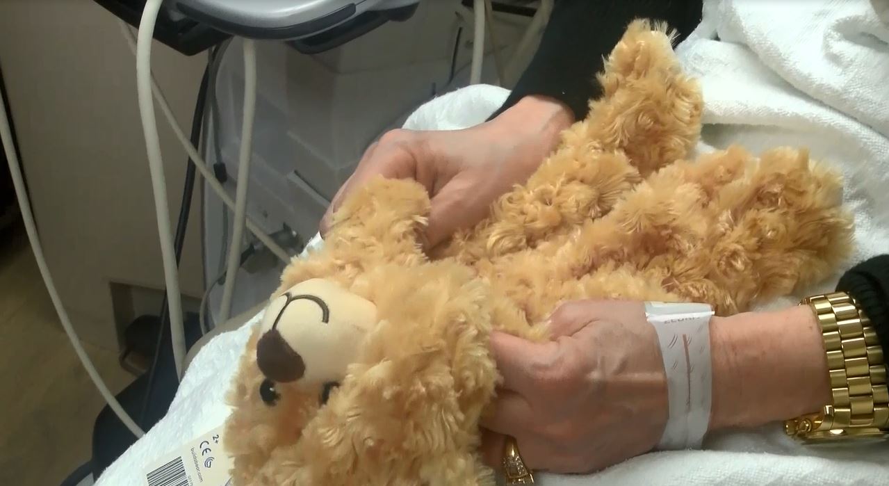 teddybear_255680